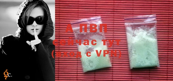 стаф Майский