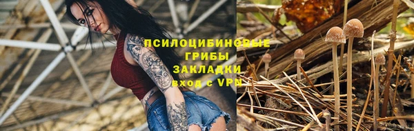 стаф Майский